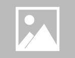 亦北智客具身智能的师徒「江湖」