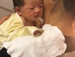 名濑弥七,名濑弥七的生平与艺术成就