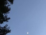 小团嫂,打造个性化生活服务小程序，便捷生活新体验