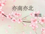 小猫困困,一只慵懒萌宠的治愈时光