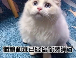 R9999,揭秘未来科技金融的无限可能